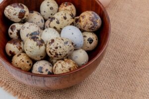 Best Quail Farm in Coimbatore