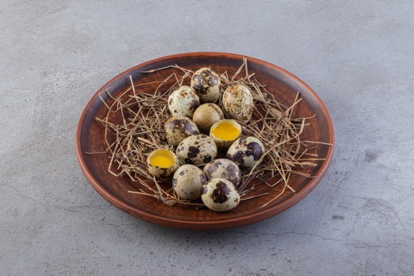 Quail Egg Distribution in Tamilnadu