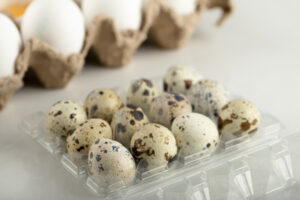 Bulk Quail Egg Supplier Tamilnadu