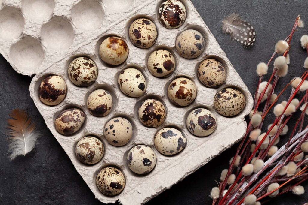 Farm Fresh Quail Eggs Coimbatore