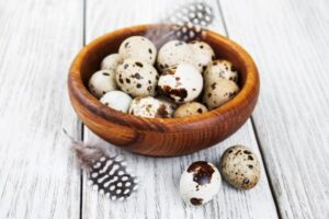 Quail Eggs Supplier Near Me