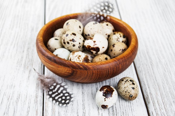 Quail Eggs Supplier Near Me
