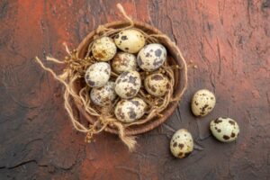 Bulk Quail Eggs Supplier Tamilnadu