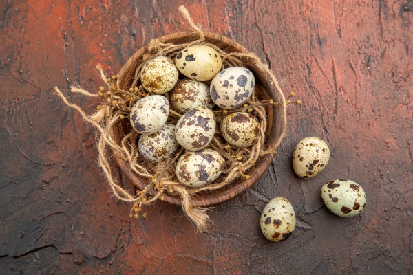 Bulk Quail Eggs Supplier Tamilnadu