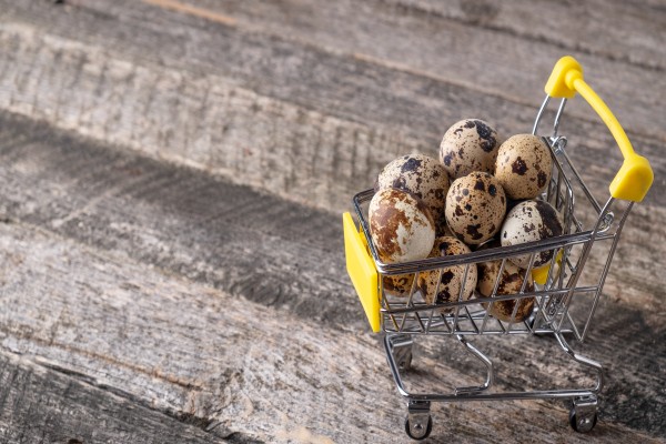 Buy Fresh Quail Eggs in Coimbatore