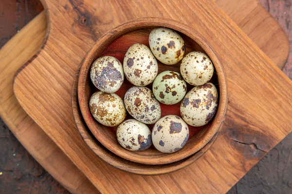 Buy Quail Eggs at Best Price Tamilnadu