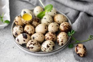 Wholesale Quail Egg Supplier Tamilnadu