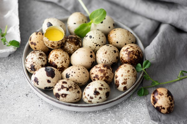 Wholesale Quail Egg Supplier Tamilnadu