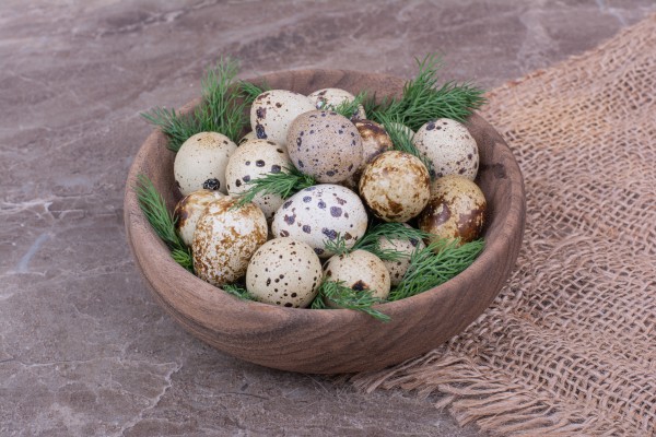 Quail Eggs Wholesale